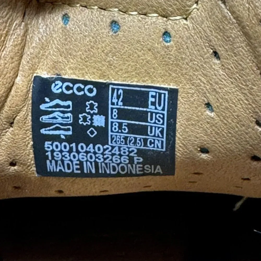 Ecco elevate your